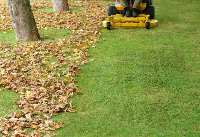 Fall and Spring Cleanup