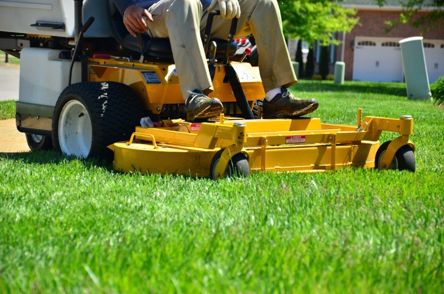 Lawn Maintenance Services